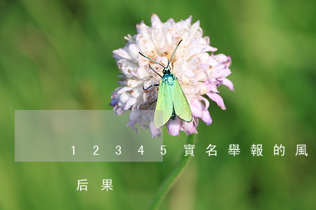 12345實名舉報的風(fēng)險和后果