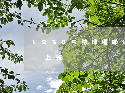12345法律援助(12345法律援助幾點上班)