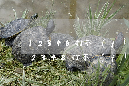 12348打不進(jìn)去怎么回事(12348打不進(jìn)去怎么回事)