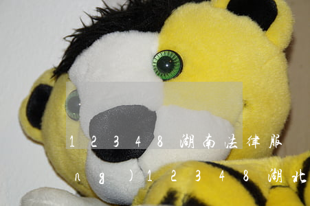12348湖南法律服務(wù)網(wǎng)(12348湖北法律服務(wù)網(wǎng))