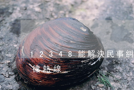 12348能解決民事糾紛嗎(12348法律熱線)