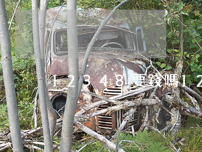 12348要錢嗎(12348收費嗎)