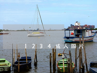 1234成人圖片