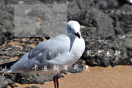 12363信用卡逾期(12378投訴信用卡逾期有用噢)