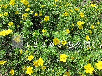 12368怎么預(yù)約立案