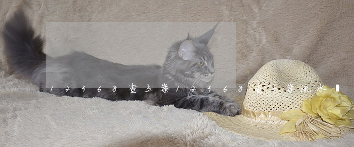 12368查立案(12368查立案流水號)
