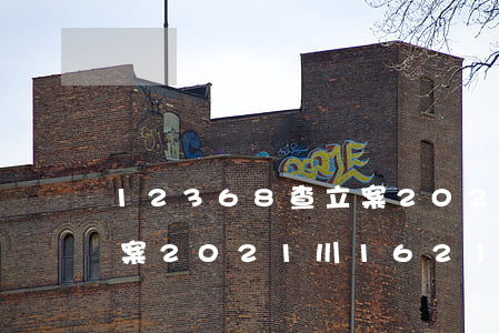 12368查立案2021(12368查立案2021川1621民初1995號(hào))