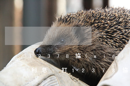12378協(xié)商還款一般給多少利息-打12378協(xié)商還款