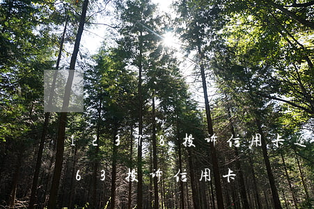 12378投诉信用卡逾期有用噢-12363投诉信用卡