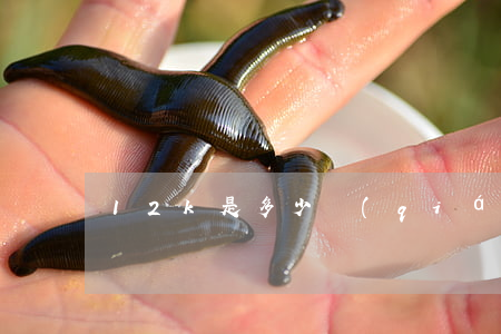 12k是多少錢(qián)