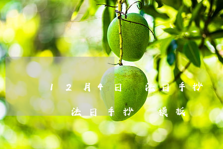 12月4日憲法日手抄報怎么做(12月4日憲法日手抄報模板)