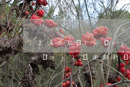 12月以后網(wǎng)貸逾期處理(網(wǎng)貸逾期新規(guī))