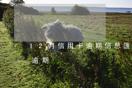 12月信用卡逾期信息匯總(信用卡12塊錢逾期)
