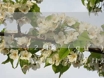 12月新規(guī)信用卡協(xié)商延期幾天（12月新規(guī)信用卡協(xié)商）
