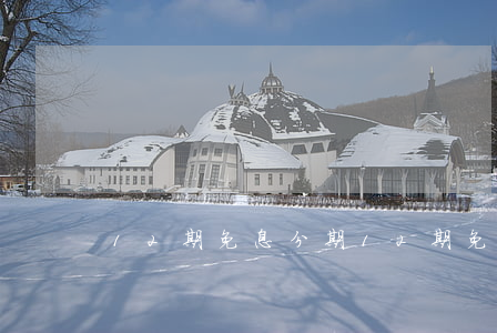12期免息分期(12期免息分期划得来吗)