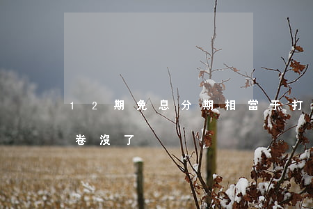 12期免息分期相當于打幾折（12分期免息卷沒了）