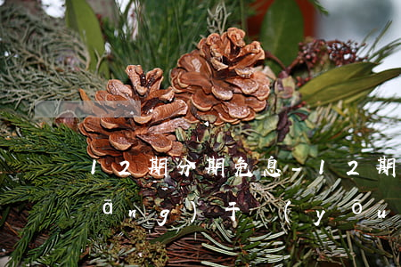 12期分期免息-12期分期免息相當(dāng)于優(yōu)惠多少