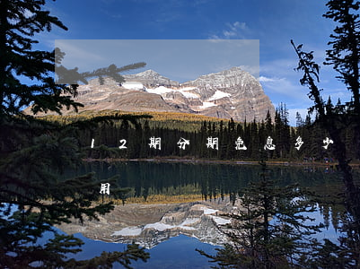 12期分期免息多少錢 12期分期免息怎么用