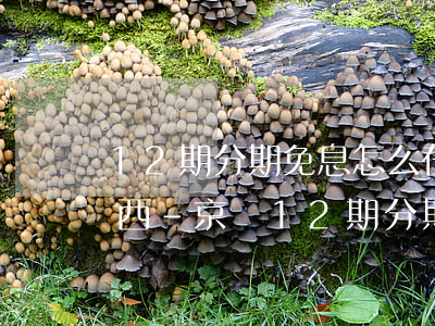 12期分期免息怎么在京東買(mǎi)東西-京東12期分期免息買(mǎi)手機(jī)怎樣操作