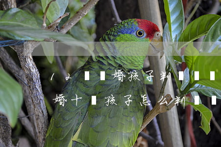 12歲離婚孩子判給誰撫養(yǎng)(離婚十歲孩子怎么判撫養(yǎng)權(quán))