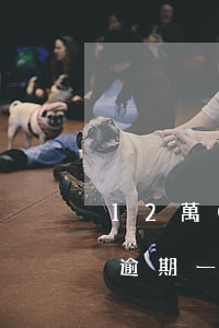12萬(wàn)信用卡逾期被起訴(信用卡逾期一萬(wàn)多起訴后果)