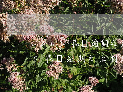 1300花唄逾期之后利息是多少-1300花唄逾期之后利息是多少錢