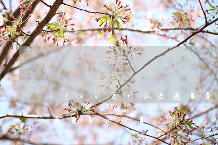 1344是什么交通違章(1344是什么交通違章扣分嗎)