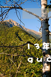 13年使用捷信分期逾期(捷信以前逾期過(guò),過(guò)了六年后還能分期嗎)