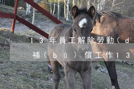 13年員工解除勞動(dòng)合同怎么補(bǔ)償(工作13年解除合同賠償)