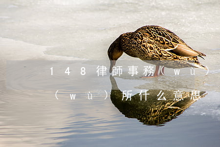 148律師事務(wù)所(148律師事務(wù)所什么意思)