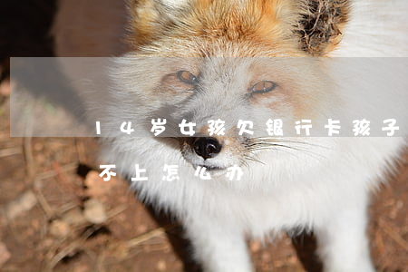 14岁女孩欠银行卡(孩子欠了银行很多钱,还不上怎么办)