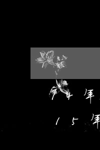 14年15年信用卡有嚴(yán)重逾期(15年信用卡逾期影響貸款嗎)