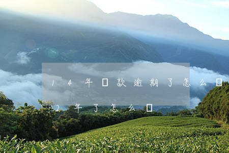 14年貸款逾期了怎么辦(欠銀行貸款逾期12年了怎么辦)