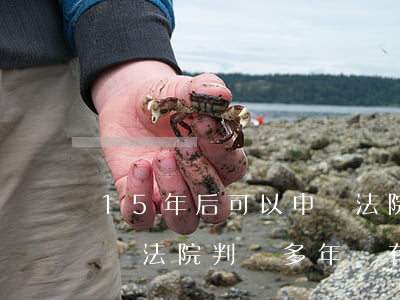 15年后可以申請法院強制執(zhí)行嗎(法院判決多年沒有執(zhí)行還能申請強制執(zhí)行嗎)
