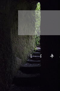 15年逾期的黑名單什么時候能消