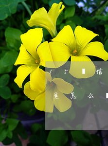 15張信用卡無力償還(無力還信用卡15萬是怎么處理)