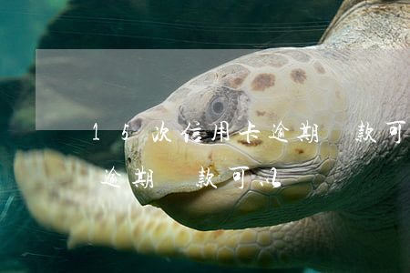 15次信用卡逾期貸款可以嗎(15次信用卡逾期貸款可以嗎)