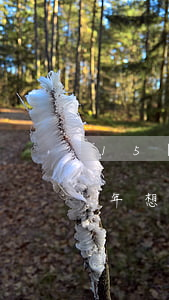 15歲離婚了怎么挽回(結(jié)婚15年想離婚怎么辦)