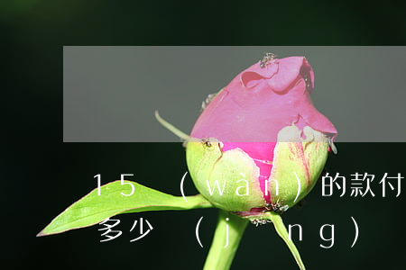 15萬(wàn)的款付律師費(fèi)多少經(jīng)濟(jì)糾紛(15萬(wàn)的官司要多少律師費(fèi))