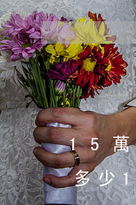 15萬(wàn)起訴律師費(fèi)的多少(15萬(wàn)律師費(fèi)多少錢)