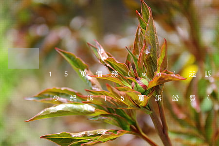 15萬債務(wù)起訴費(fèi)是多少(起訴15萬訴訟費(fèi)多少錢)