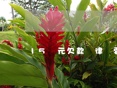 15萬元欠款請律師要多少錢
