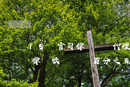 15萬官司律師風險代理費用多少(風險代理律師收費標準 百分之五十)