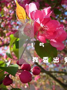 15萬強(qiáng)制執(zhí)行我要出多少費(fèi)用(15萬強(qiáng)制執(zhí)行費(fèi)用收取標(biāo)準(zhǔn))