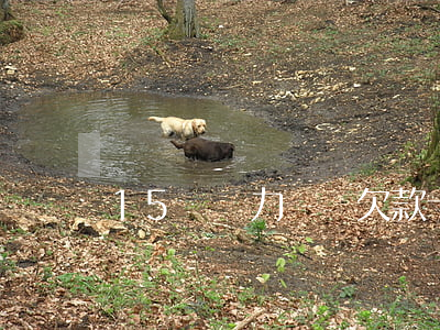 15萬無力償還 欠款十五萬不還