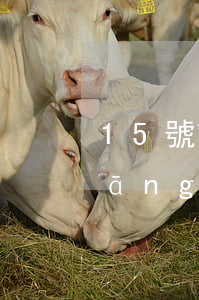 15號前還款算逾期嗎(還款日25號當(dāng)天算逾期嗎)