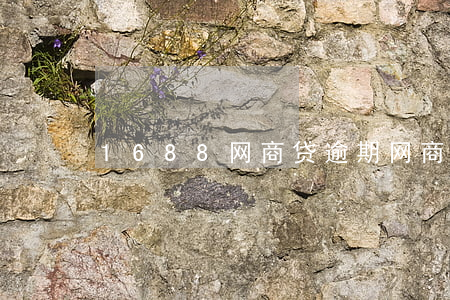 1688 网商贷逾期(网商货逾期)
