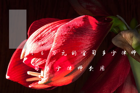 16万元的官司多少律师费用(16万元的官司多少律师费用)