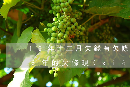 16年十二月欠錢有欠條怎么起訴-2016年的欠條現(xiàn)在起訴有效么