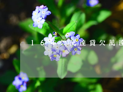 16年欠萬達貸(欠萬達貸1年半了)